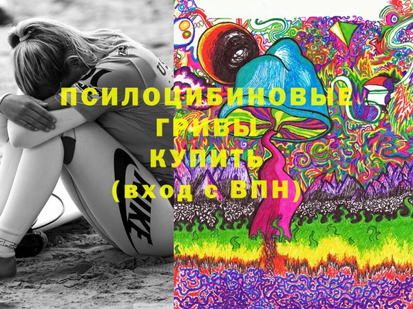 дурь Кинешма